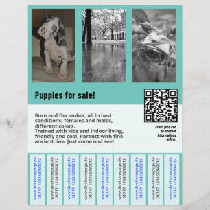 puppy's te koop flyer sjabloon QR code