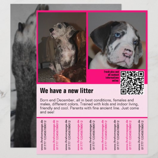puppy's te koop flyer sjabloon QR code (Voorkant / Achterkant)