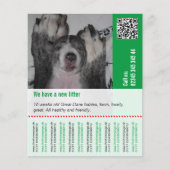 Puppy's verkopen flyer (Voorkant)