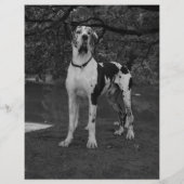 puppyverkoop flyer met QR-code oranje (Achterkant)