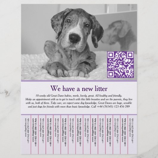 puppyvliegers flyer (Voorkant)