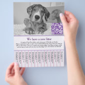 puppyvliegers flyer (Hand)