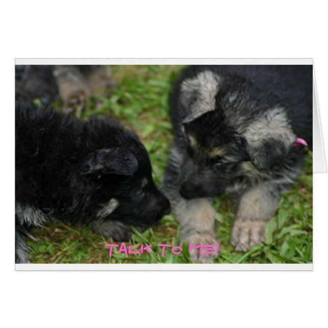 Pups (Voorkant Horizontaal)