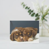 Pups Briefkaart (Staand voorkant)