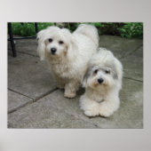 Pups in olie poster (Voorkant)