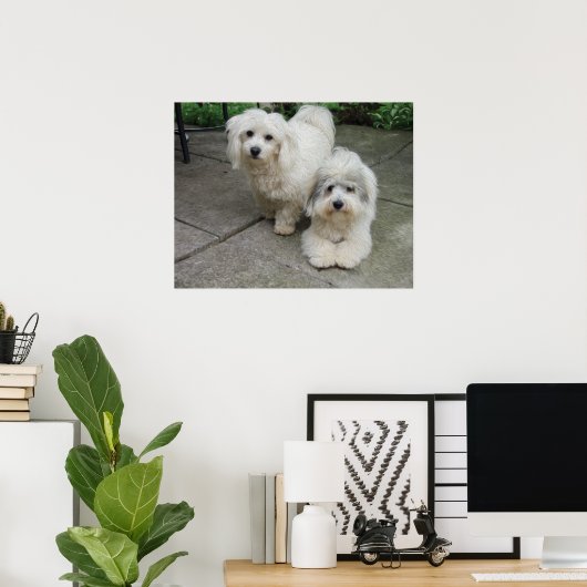 Pups in olie poster (Thuiskantoor)