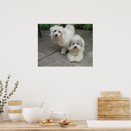 Pups in olie poster (Keuken)