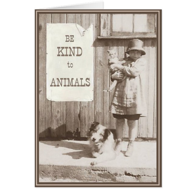 PUPs Kaart Katten 10 (Voorkant)