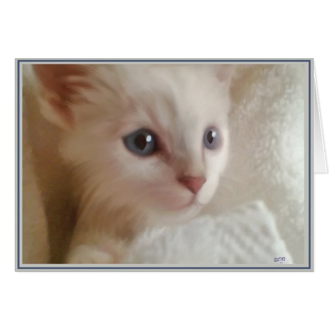 PUPs Kaart Katten 11 (Voorkant Horizontaal)