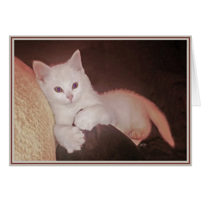 PUPs Kaart Katten 14 (Voorkant Horizontaal)