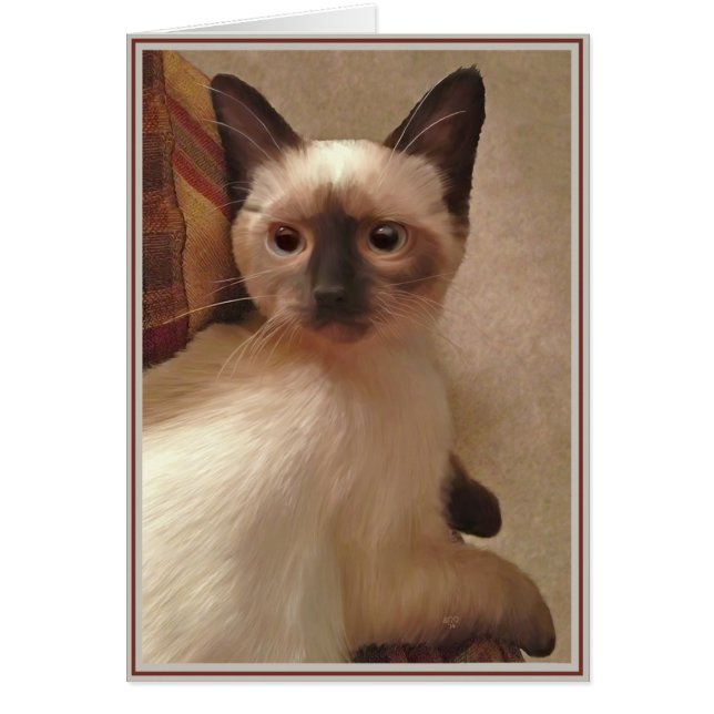 PUPs Kaart Katten 15 (Voorkant)