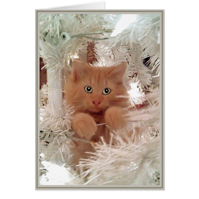 PUPs Kaart Katten 16 (Voorkant)