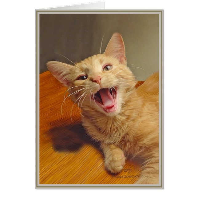 PUP's Kaart Katten 3 (Voorkant)