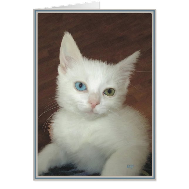 PUPs Kaart Poezen 17 (Voorkant)