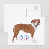 PUPs Redt Pit Bull Briefkaart (Voorkant / Achterkant)