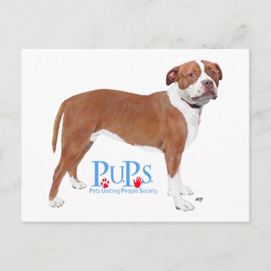 PUPs Redt Pit Bull Briefkaart (Voorkant)