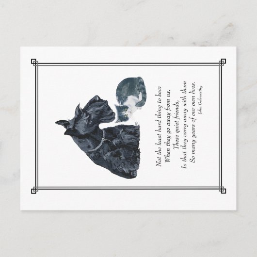 PUPs Sympathy Card Briefkaart (Voorkant)