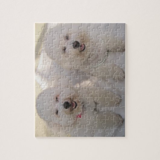 Pups willen gewoon plezier hebben. -puzzel legpuzzel (Verticaal)