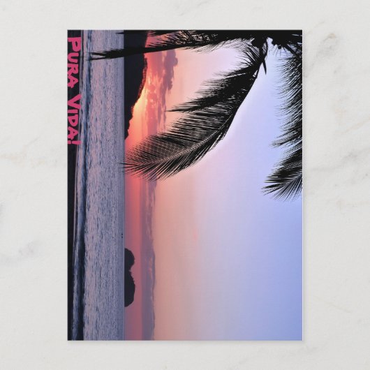 Pura Vida. Briefkaart (Voorkant)