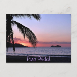 Pura Vida. Briefkaart