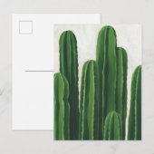 Pura Vida - Cacti Group Briefkaart (Voorkant / Achterkant)