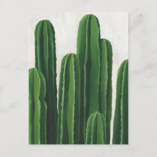 Pura Vida - Cacti Group Briefkaart