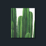 Pura Vida - Cacti Group Canvas Afdruk<br><div class="desc">"Pura Vida II" door Grace Popp. Kenmerken cacti in verschillende hoogten.</div>