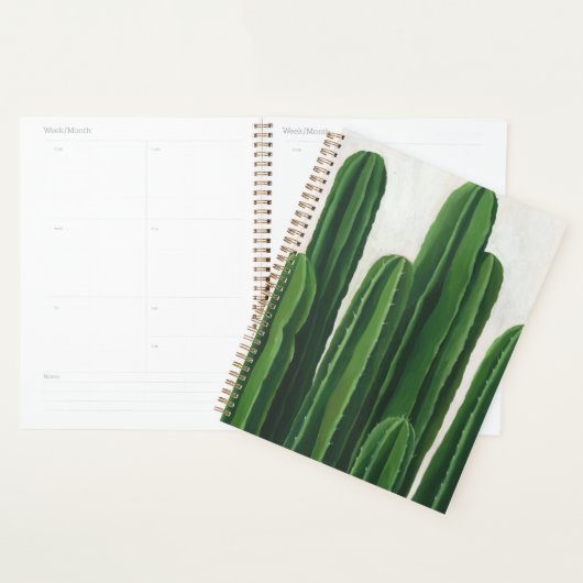Pura Vida - Cacti Group Planner (Display)