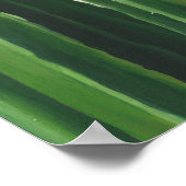 Pura Vida - Cacti Group Poster (Hoek)