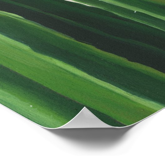 Pura Vida - Cacti Group Poster (Hoek)