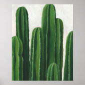 Pura Vida - Cacti Group Poster (Voorkant)