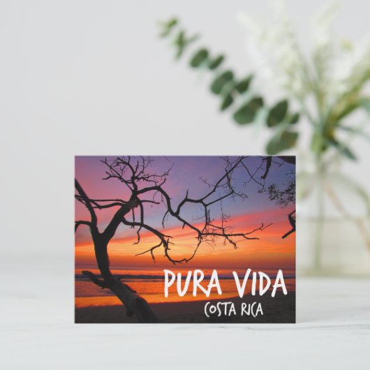 Pura Vida Costa Rica Beach Sunset Briefkaart (Staand voorkant)