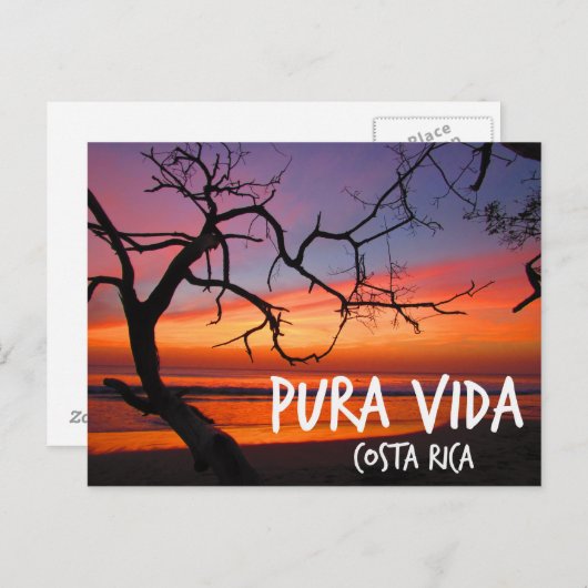 Pura Vida Costa Rica Beach Sunset Briefkaart (Voorkant / Achterkant)