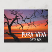 Pura Vida Costa Rica Beach Sunset Briefkaart (Voorkant)