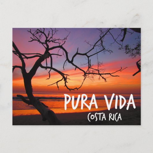 Pura Vida Costa Rica Beach Sunset Briefkaart (Voorkant)