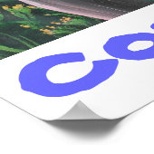 Pura Vida Costa Rica Poster (Hoek)