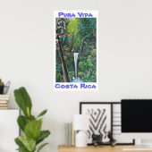 Pura Vida Costa Rica Poster (Thuiskantoor)