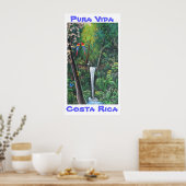 Pura Vida Costa Rica Poster (Keuken)