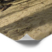 Pura Vida in Costa Rica - Midden-Amerika Poster (Hoek)