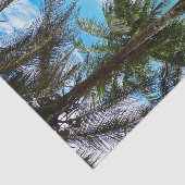 Pura Vida in Costa Rica - Midden-Amerika Tissuepapier (Detail)