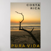 PURA VIDA Playa Flamingo Poster (Voorkant)