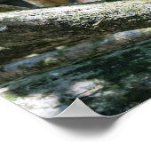 Pura vida voor kapucijnaapje met witte bodem poster (Hoek)