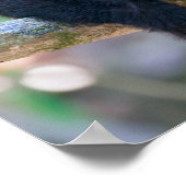 Pura vida voor kapucijnaapje met witte bodem poster (Hoek)