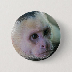 Pura vida voor kapucijnaapje met witte bodem ronde button 5,7 cm