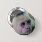 Pura vida voor kapucijnaapje met witte bodem ronde button 5,7 cm (Voorkant /achterkant)
