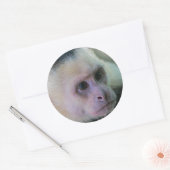 Pura vida voor kapucijnaapje met witte bodem ronde sticker (Envelop)