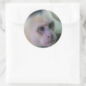 Pura vida voor kapucijnaapje met witte bodem ronde sticker (Tas)