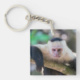 Pura vida voor kapucijnaapje met witte bodem sleutelhanger