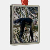 Pura vida voor witgezichtsap metalen ornament (Rechts)