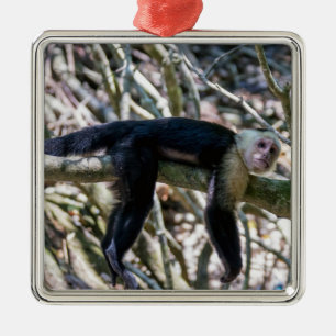 Pura vida voor witgezichtsap metalen ornament